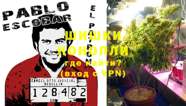 бошки Бронницы